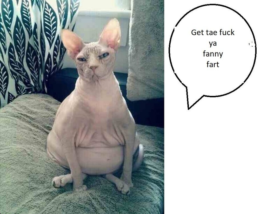 elvisfannyfat.thumb.jpg.12361011717b5e82ecfffdea7a57247c.jpg